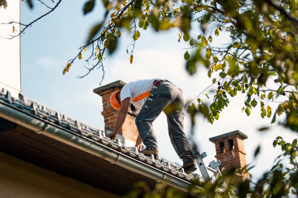 Best Gutter Installation and Roofing  in Fort Lee, NJ